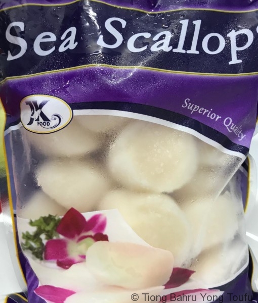 sea scallop